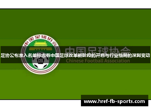 足协公布准入名单标志着中国足球改革新阶段的开启与行业格局的深刻变动